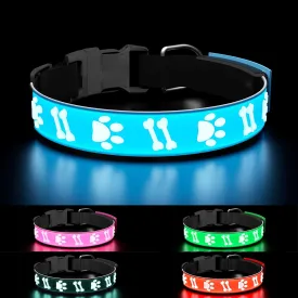3D Design LED Dog Collar, Adjustable Light USB Rechargeable Night Walk Safety Collar for Medium Dogs, Blue