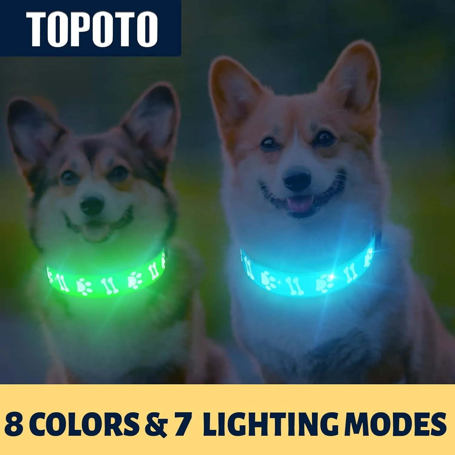 3D Design LED Dog Collar, Adjustable Light USB Rechargeable Night Walk Safety Collar for Medium Dogs, Blue