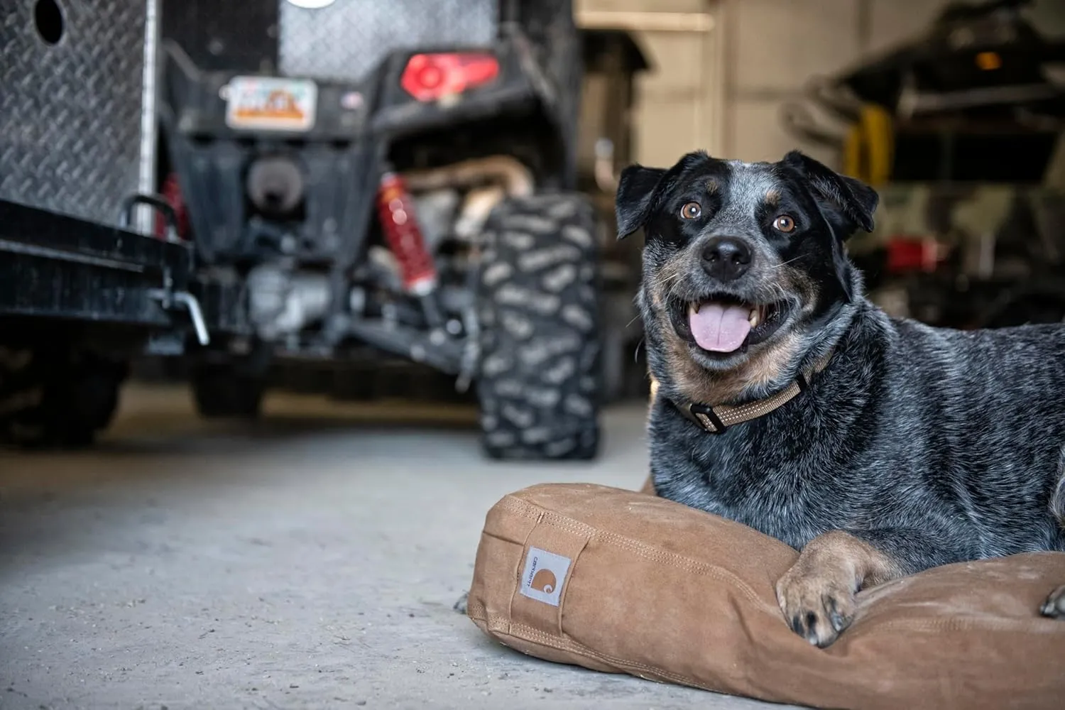 Carhartt Gear P0000534 Firm Duck Dog Bed - Medium - Dark Brown