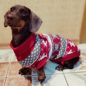 Dach Everywhere™ Cute Pullover Winter Dog Sweater by Dach Everywhere