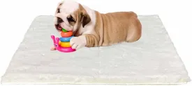 Dog Bed Mat Crate Pads for Dog Cages 30x21 Inch Washable Anti-Slip Dog Kennel Pad Soft Small Puppy Cage Cushion Liner, Beige
