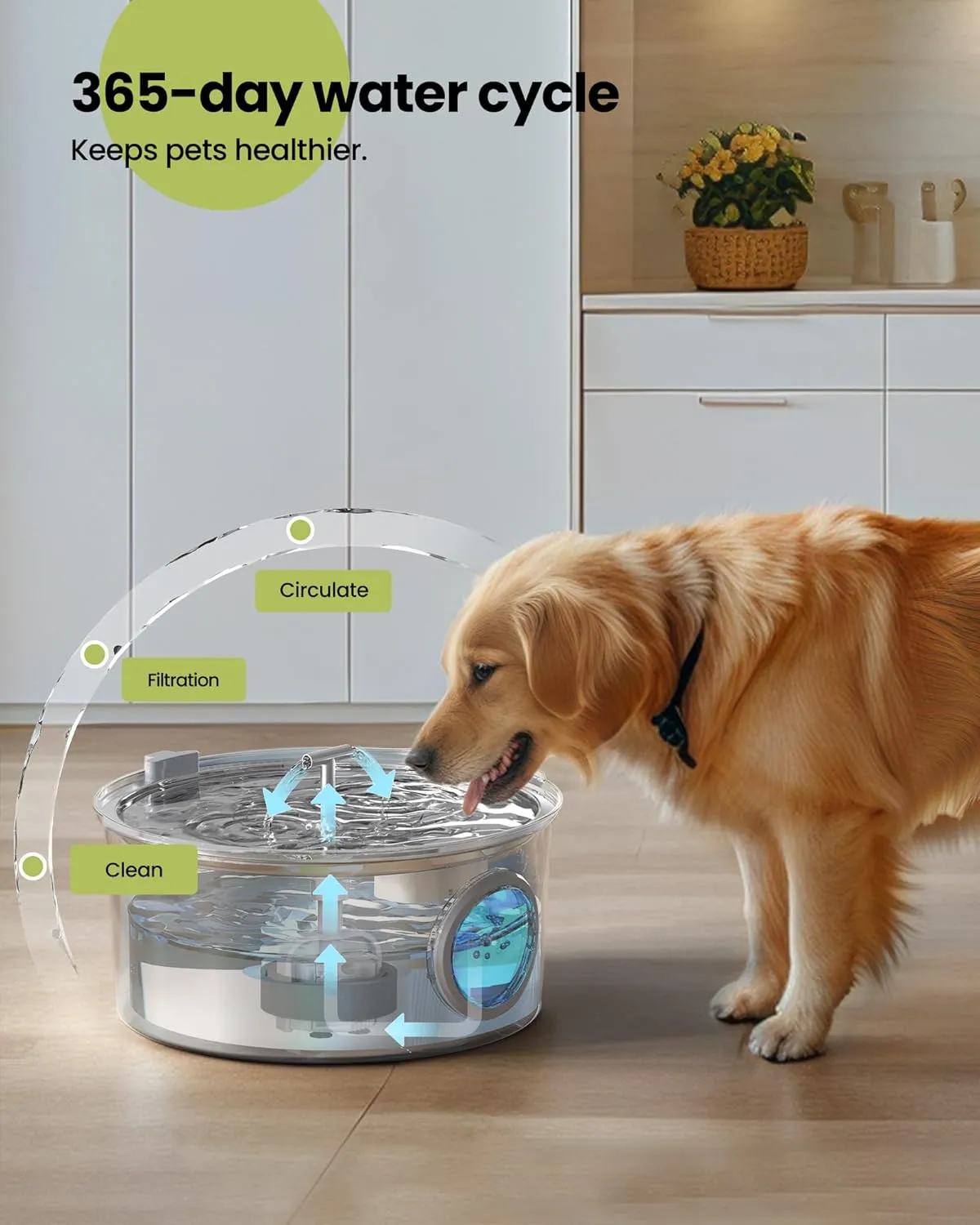 Dog Water Fountain for Large Dogs: 1.8Gal/7L Stainless Steel Dog fountains - Quiet Automatic pet Drinking Dispenser Indoor - Multiple Cats Watering Fountains for Pets Big Metal Bowls for Cats and Dogs