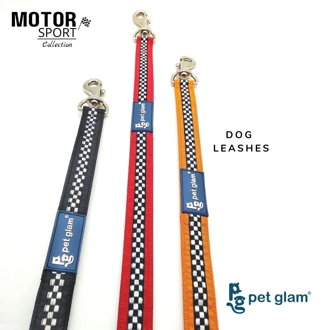 Durable Dog Leash Magnum-for big Dogs that pull