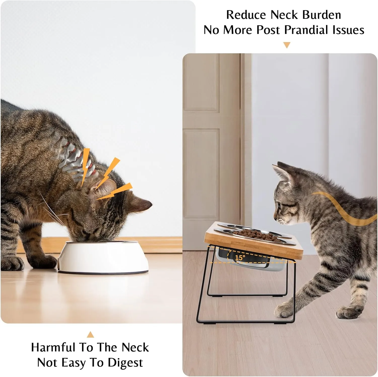 Elevated Cat Bowls for Food and Water - Loplurea 15 Tilted Raised Stainless Steel Cat Food Bowl with Bamboo Stand and Anti Vomit Feeding Station for Indoor Cats and Pet