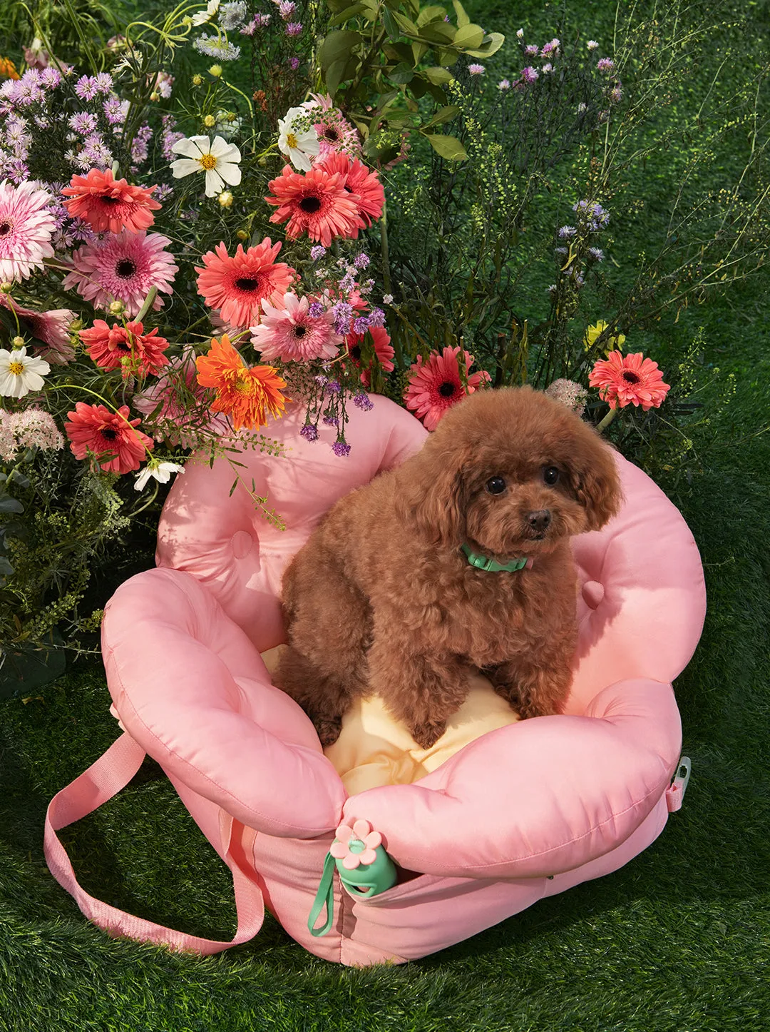 Flora Car Seat Pet Carrier