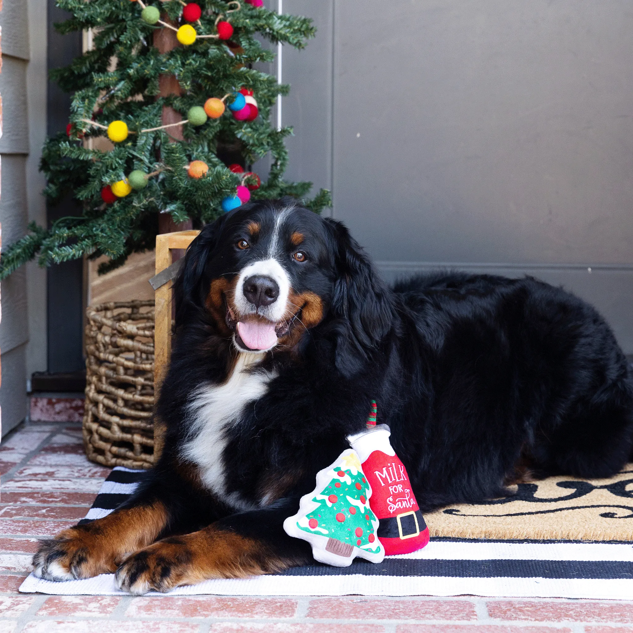 Fringe Santa Ready - Dog Toys