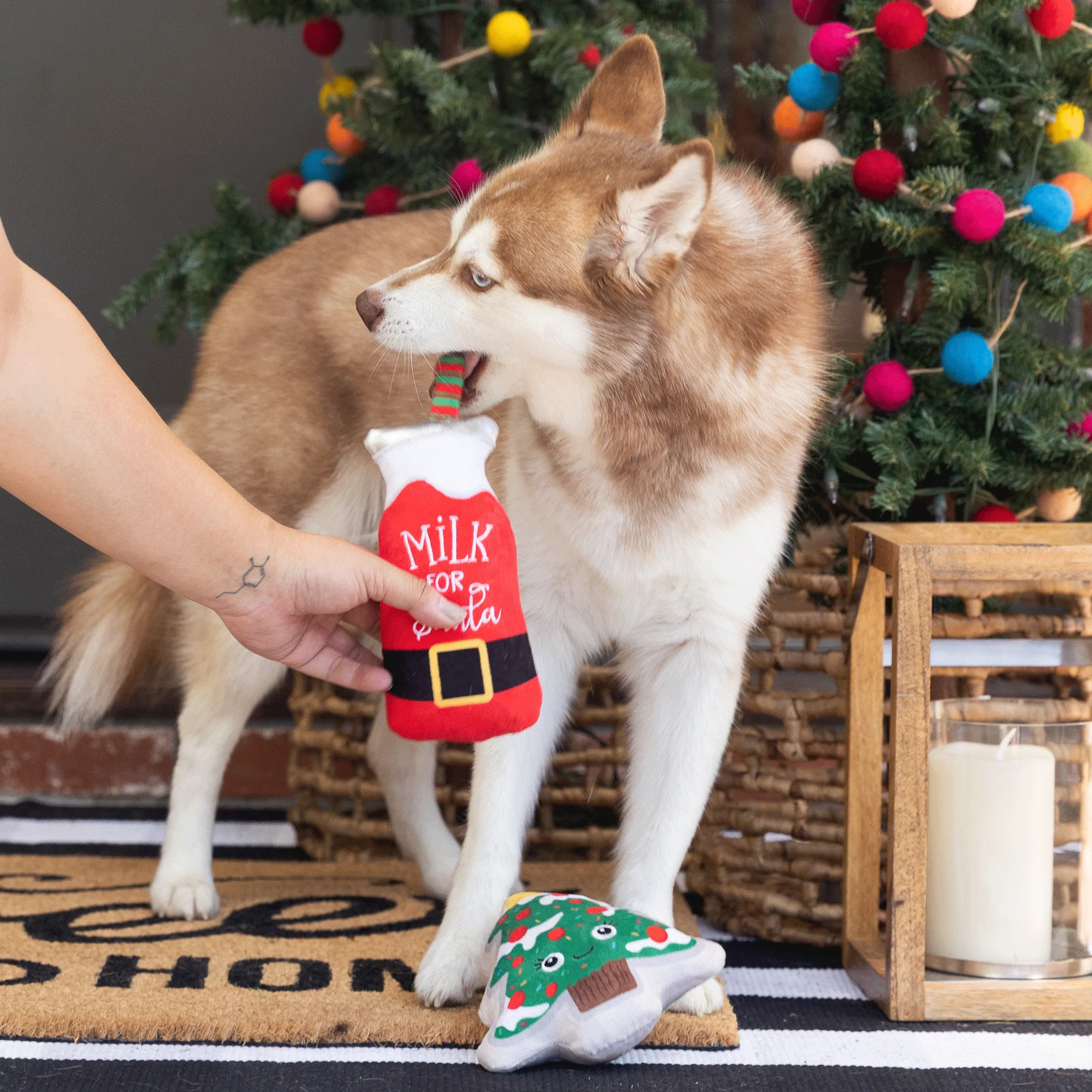 Fringe Santa Ready - Dog Toys