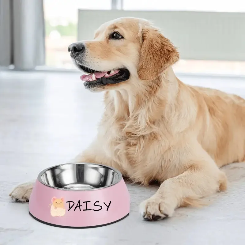 Funny Personalized Pet Stainless Steel Bowl for Mealtime Fun