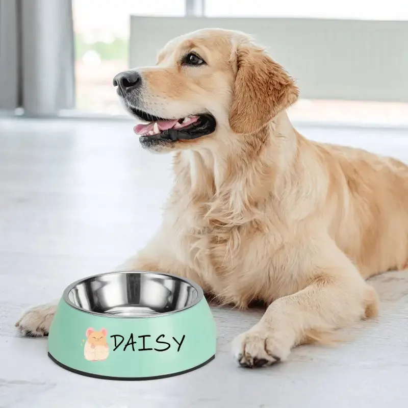 Funny Personalized Pet Stainless Steel Bowl for Mealtime Fun