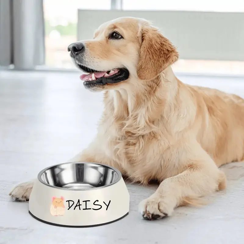 Funny Personalized Pet Stainless Steel Bowl for Mealtime Fun