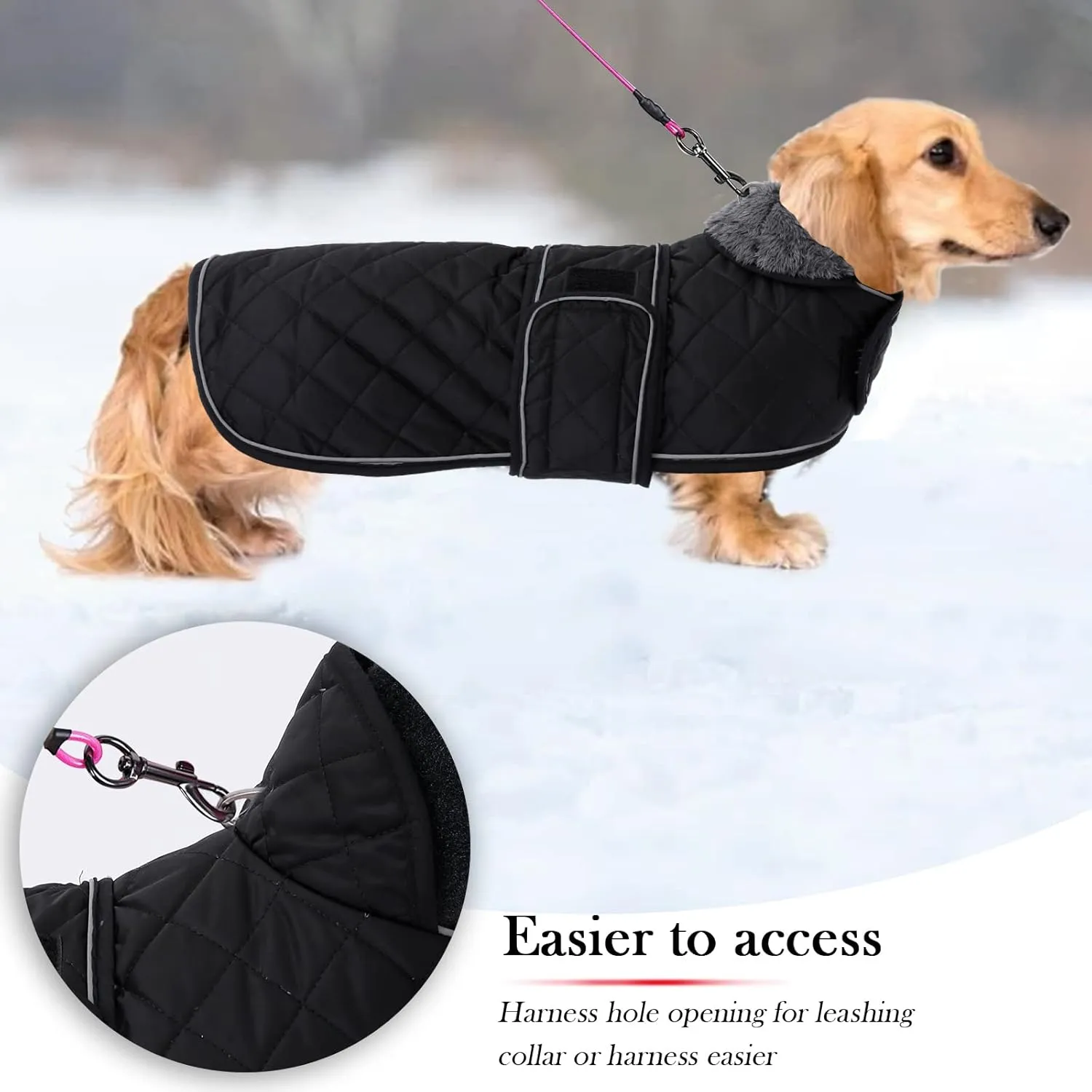 Geyecete Warm Thermal Quilted Dachshund Coat, Dog Winter Coat with Warm Fleece Lining, Outdoor Dog Apparel with Adjustable Bands for Medium, Large Dog-Black-M