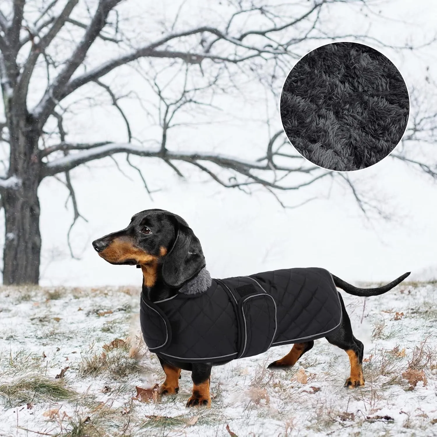 Geyecete Warm Thermal Quilted Dachshund Coat, Dog Winter Coat with Warm Fleece Lining, Outdoor Dog Apparel with Adjustable Bands for Medium, Large Dog-Black-M