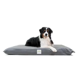 Henry Hottie Orthopedic Grey Pet Bed (4 Sizes)