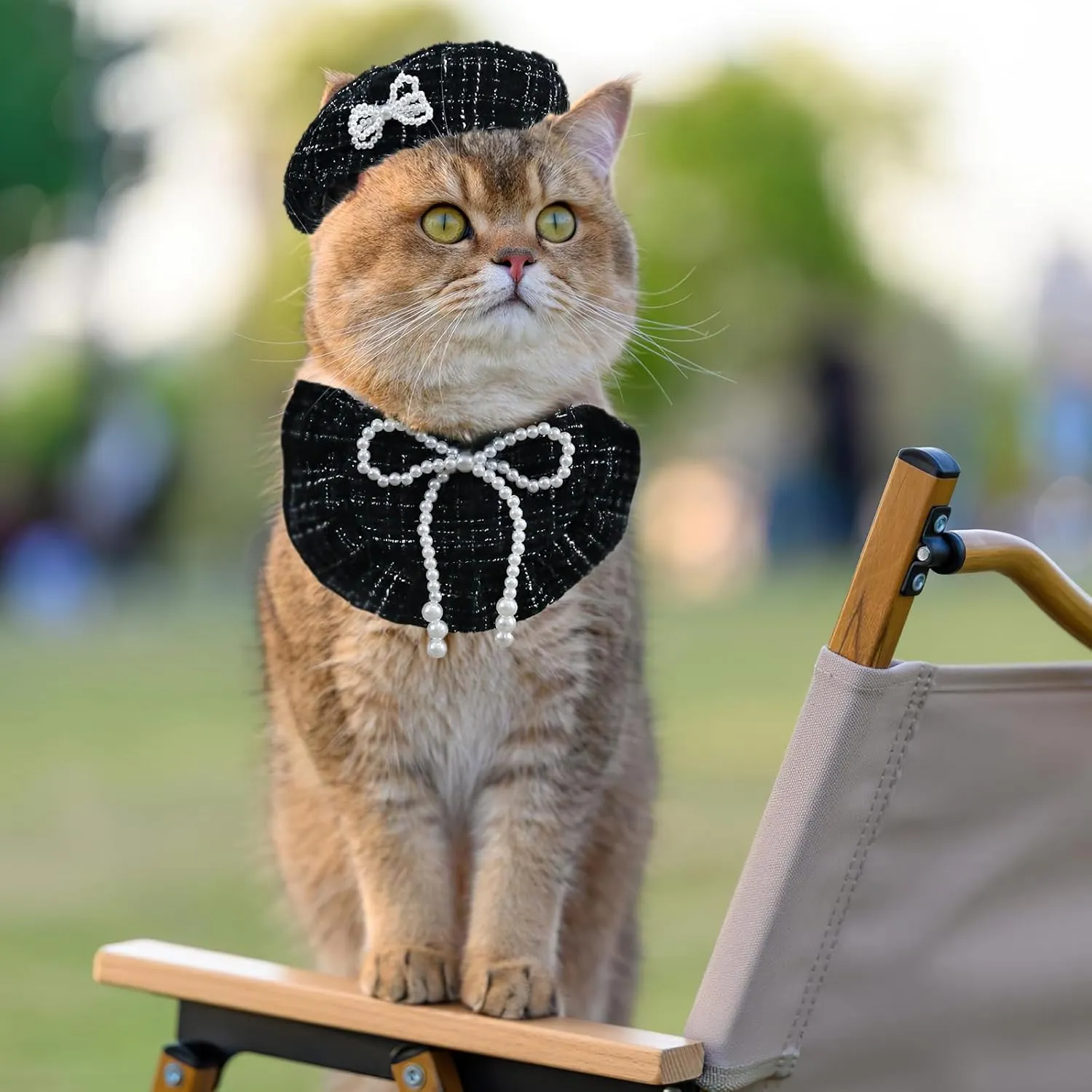 HOWWFALY 2PCS Cat Beret Hat with Pearl Bowtie, Adjustable Bandana Scarf Set Pet Princess Costume for Halloween Christmas, Cat Dog Birthday Party Apparel(Black Pearl)