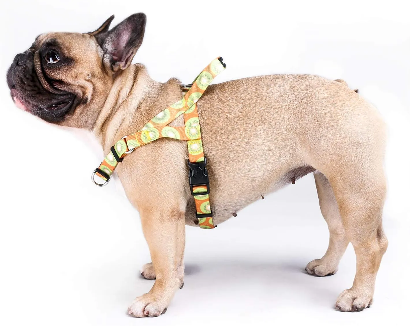 iChoue Cartoon Printed Dog Harness Leash Set No Pull Step in Adjustable Buckle for Small Medium Large - Kiwi Fruit M