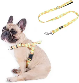 iChoue Cartoon Printed Dog Harness Leash Set No Pull Step in Adjustable Buckle for Small Medium Large - Kiwi Fruit M