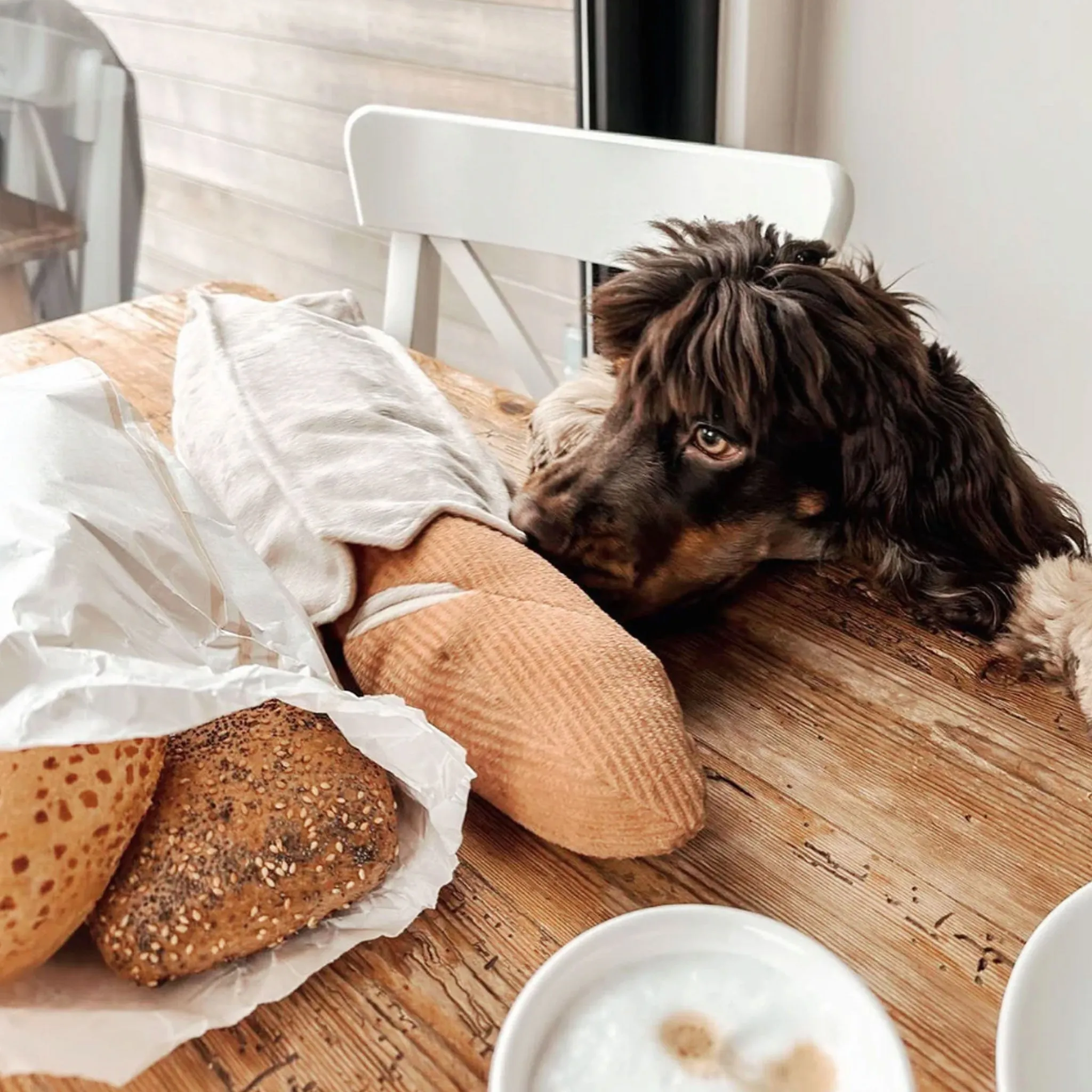 Lambwolf Baguette Dog Toys 2 Pack