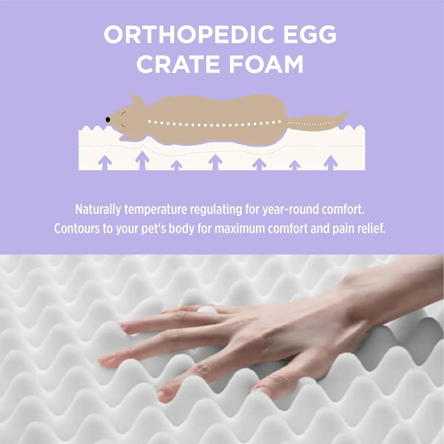 Lesure Outdoor Waterproof Dog Bed for Extra Large Dogs, Orthopedic Egg Crate Foam Pet Bed with Oxford Fabric Surface and Removable and Durable Cover, Machine Washable, 44''x32'', Grey
