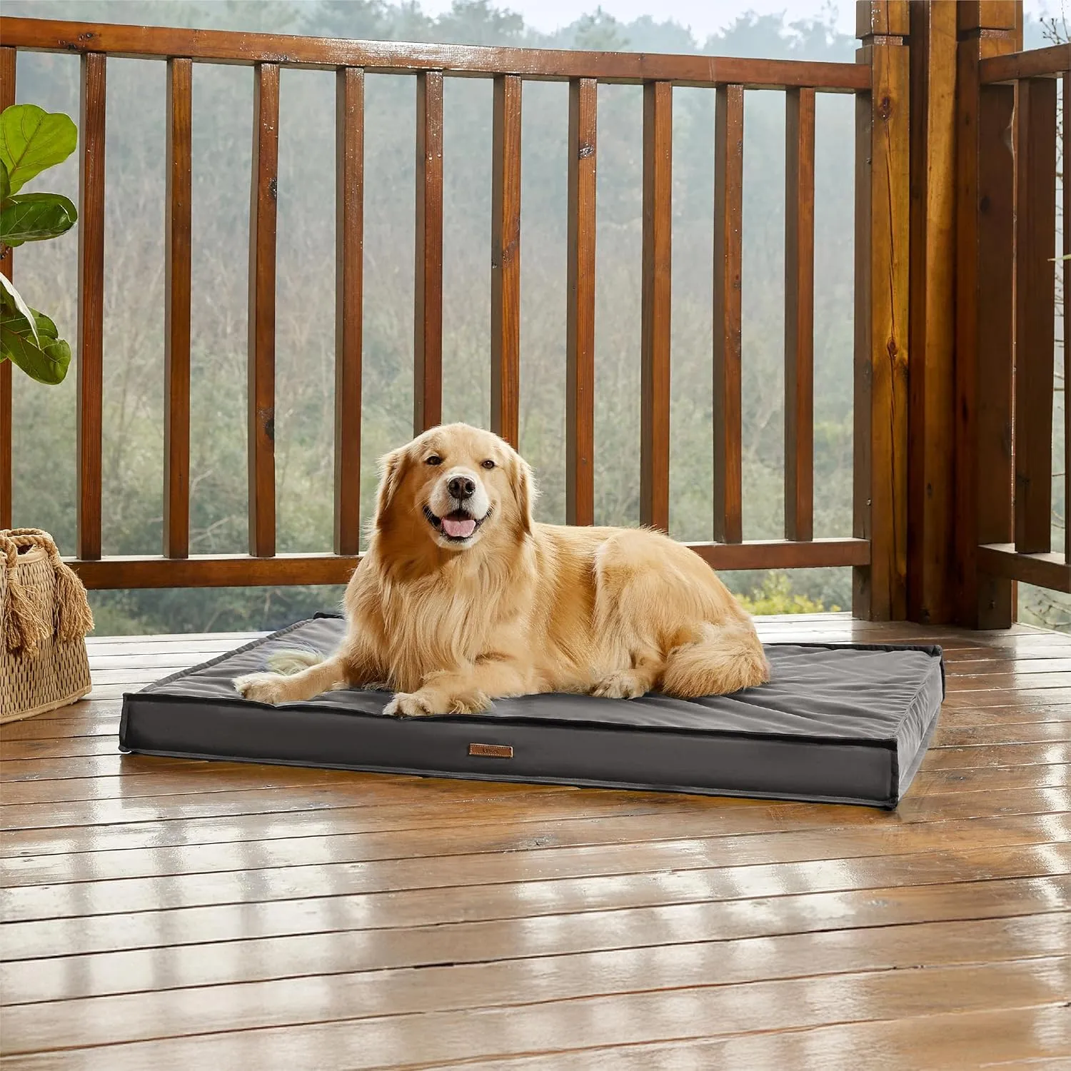 Lesure Outdoor Waterproof Dog Bed for Extra Large Dogs, Orthopedic Egg Crate Foam Pet Bed with Oxford Fabric Surface and Removable and Durable Cover, Machine Washable, 44''x32'', Grey