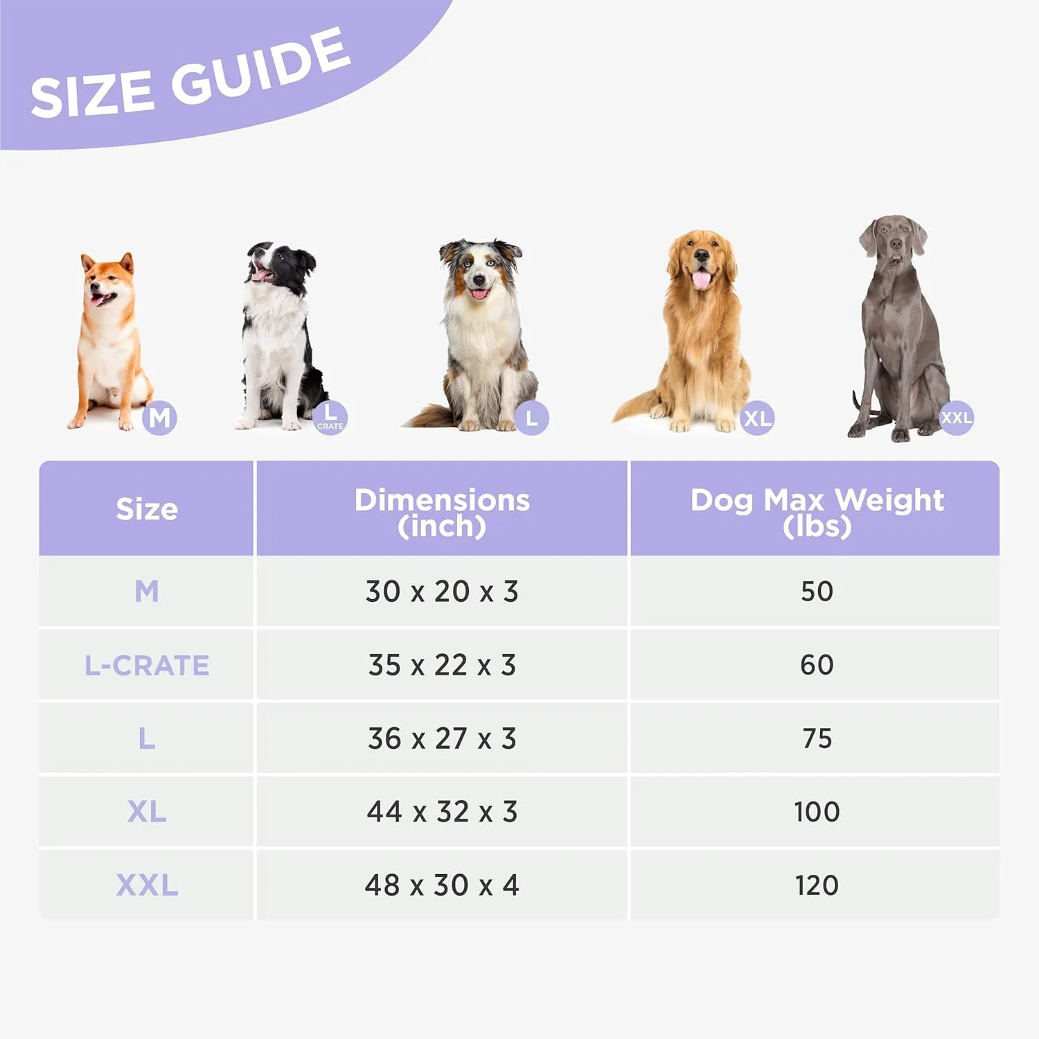 Lesure Outdoor Waterproof Dog Bed for Extra Large Dogs, Orthopedic Egg Crate Foam Pet Bed with Oxford Fabric Surface and Removable and Durable Cover, Machine Washable, 44''x32'', Grey