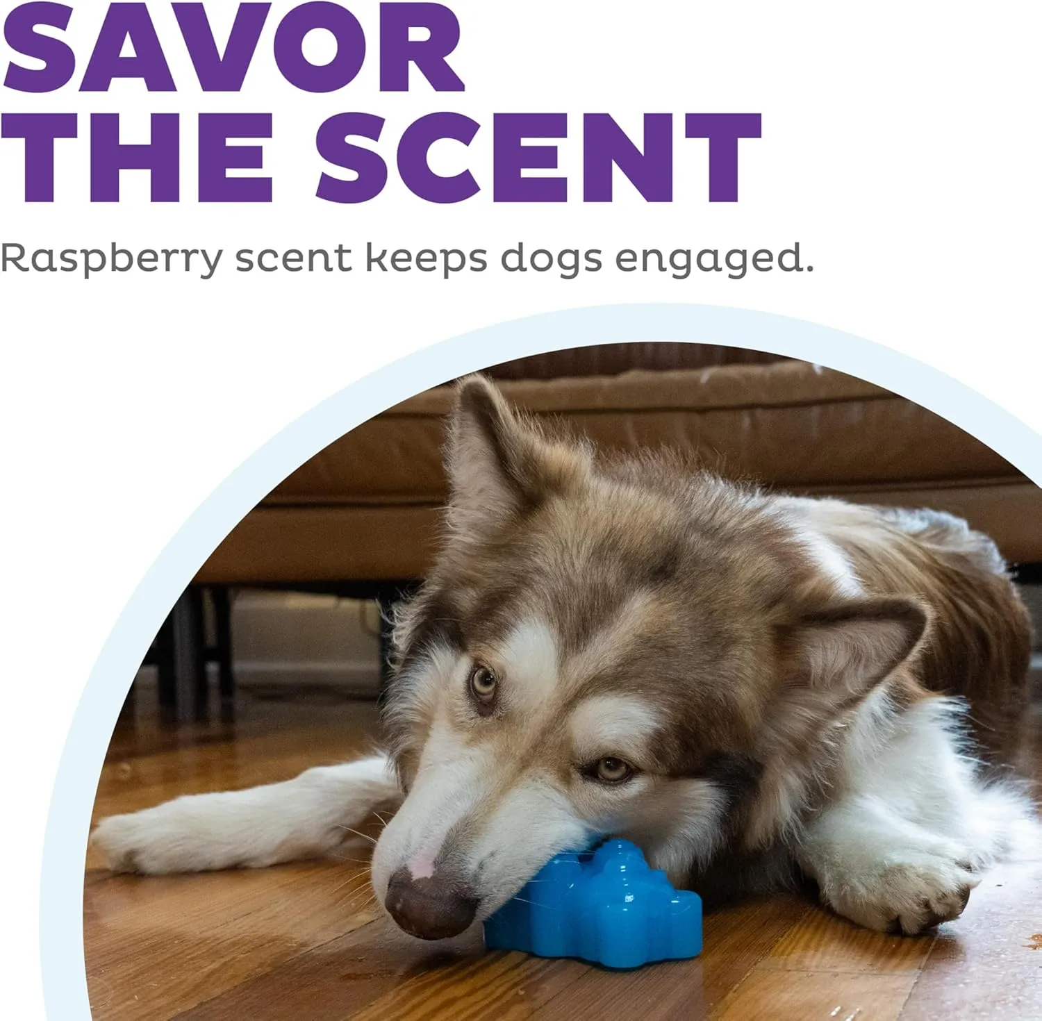 Outward Hound Gummiez Bear 2-in-1 Dog Chew Toy and Treat Stuffer, Blue