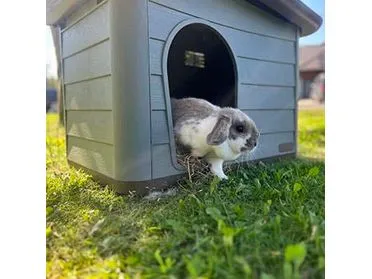 Pepita 2 ECO pet house 76x59x55cm brown/green