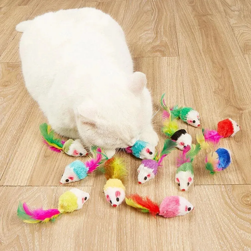Pet Christmas Set, Socks, Packaging Toy