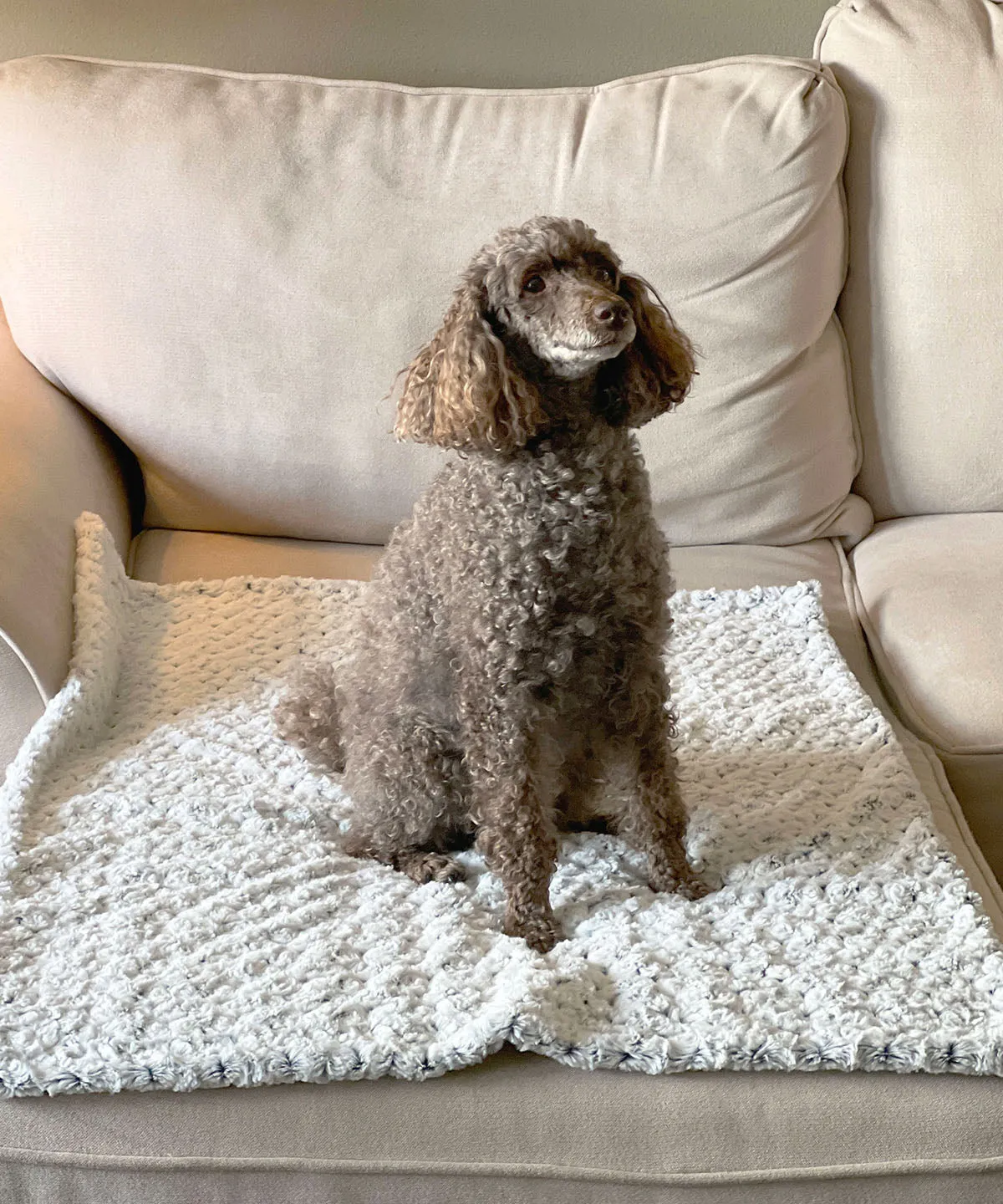Pet / Dog Blanket - Luxury Faux Fur in Peacock Pond (Limited Availability)