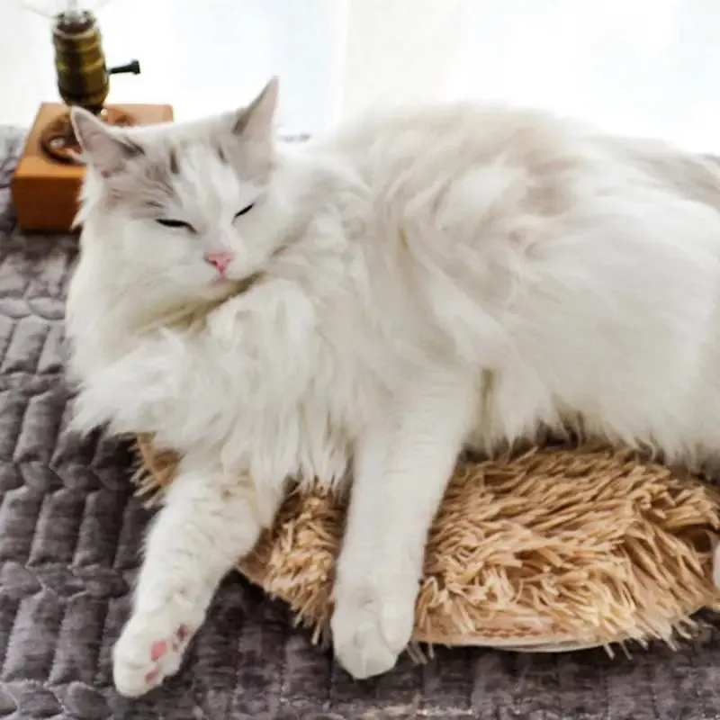 Pet Thermostatic Heating Pad Pet Mat Cat And Dog Bed Cat Kennel Kennel Heated Carpet For Travel Portable Or Cat And Dog Use