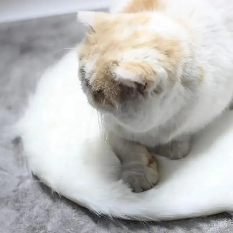 Pet Thermostatic Heating Pad Pet Mat Cat And Dog Bed Cat Kennel Kennel Heated Carpet For Travel Portable Or Cat And Dog Use
