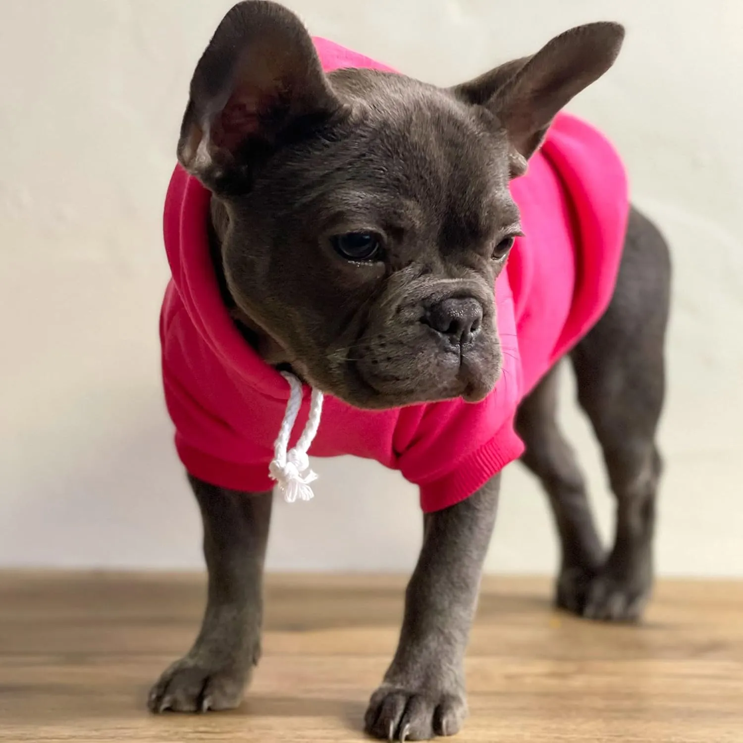 Pit Crew Dog Hoodie Fleece Lined Pullover Sweatshirt with Leash Hole (Hot Pink, 2X-Large 49)