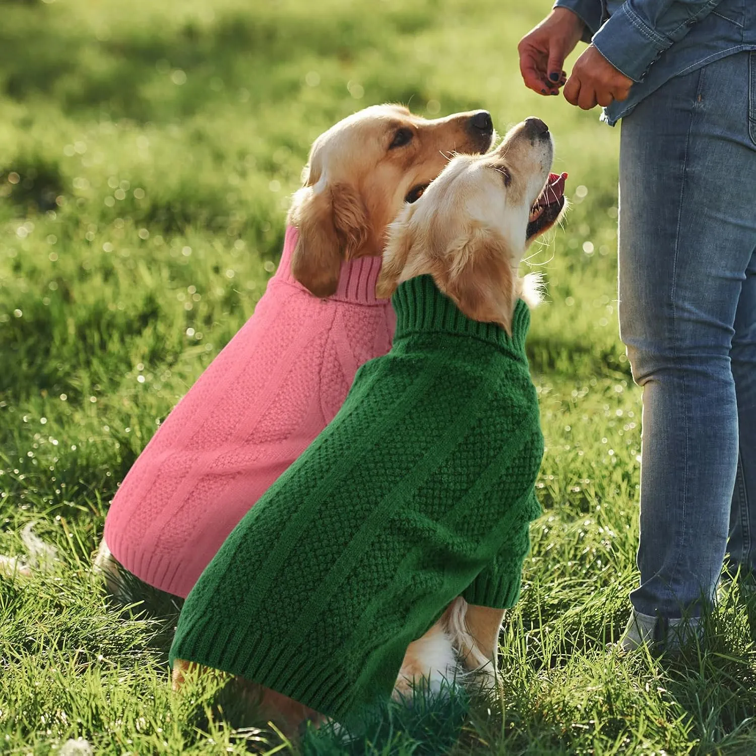 Queenmore Small Dog Sweaters for Small Dogs Girls Boys,Xmas Sweater Small Dog,Turtleneck Knitted Sweater for Dog Cat,Cold Weather Pullover for Doggie Male Female,Soft Dog Sweater Pet Apparel(Pink,S)