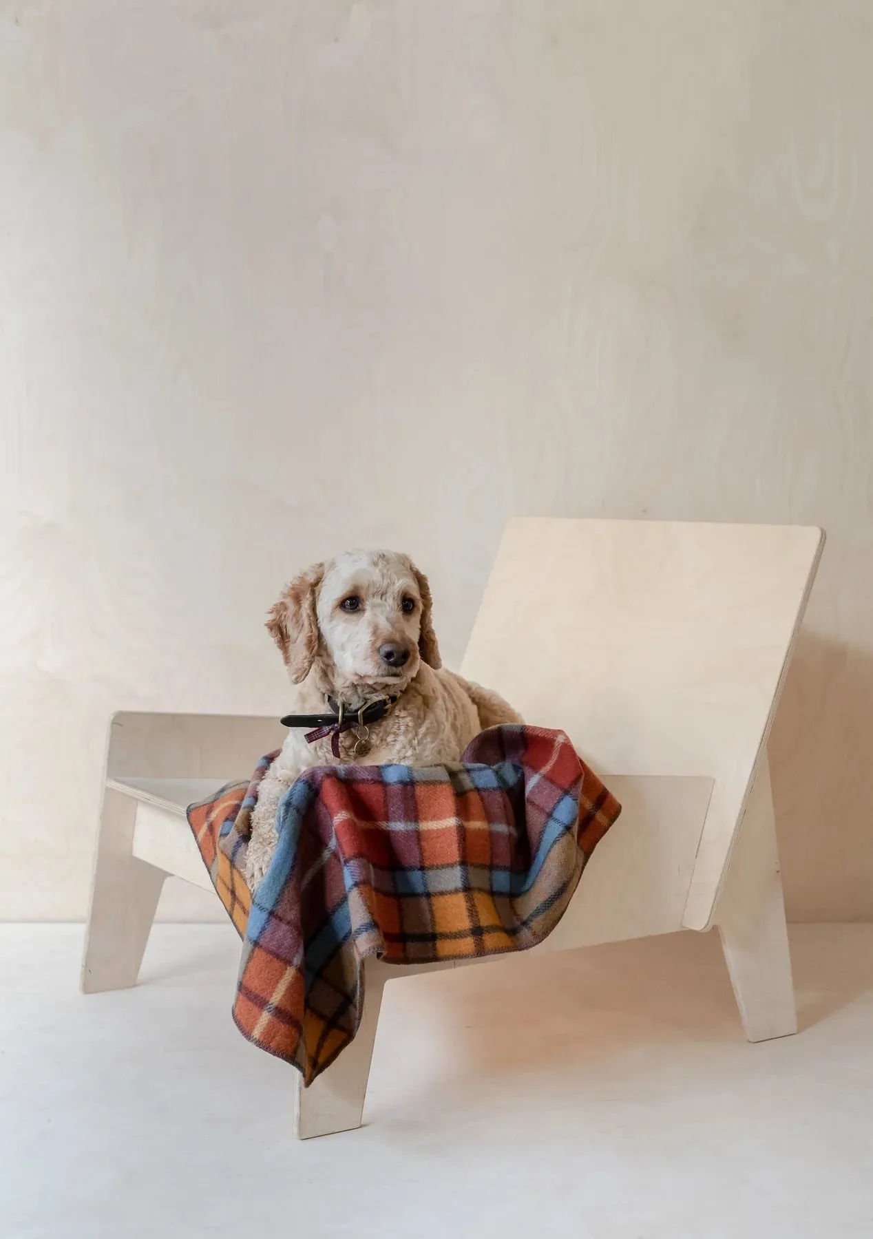 Recycled Wool Pet Blanket in Buchannan Antique Tartan