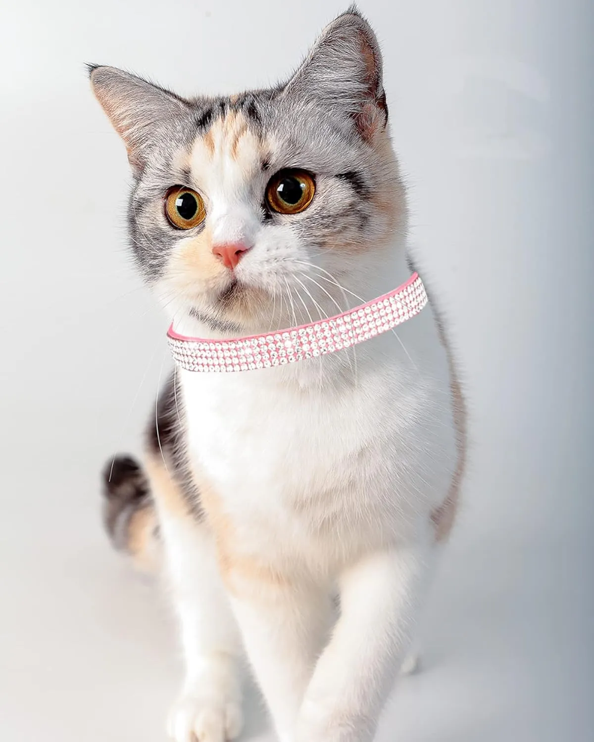 Solmoony Breakaway Cat Collars with Bell,Adjustable Safe Kitten Collar,Cat Collars for Girl Cats with Rhinestone Soft Velvet (Pink)