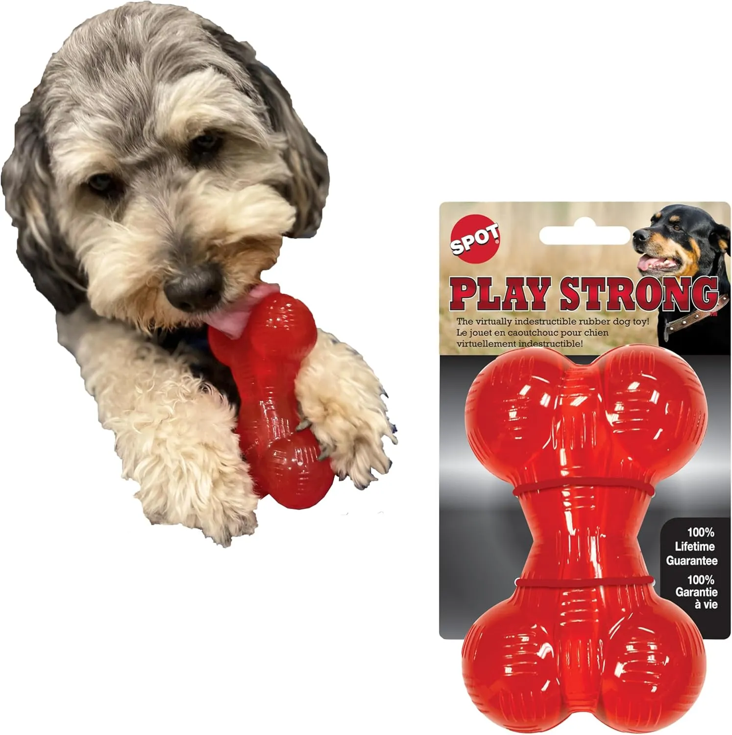 SPOT Play Strong Bone- Durable TPR Long Lasting Dog Chew for Aggressive Chewers, Hole for Treats, Virtually Indestructible Toy for Small and Medium Dogs & Puppies - 4.5 inch