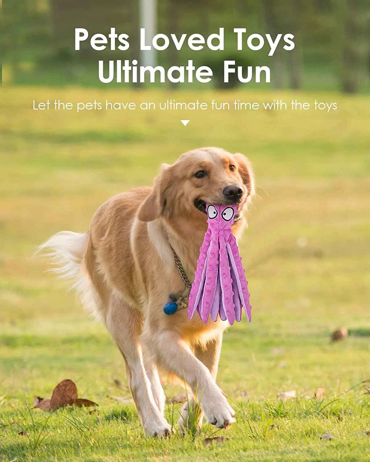 Squeaky Dog Toys