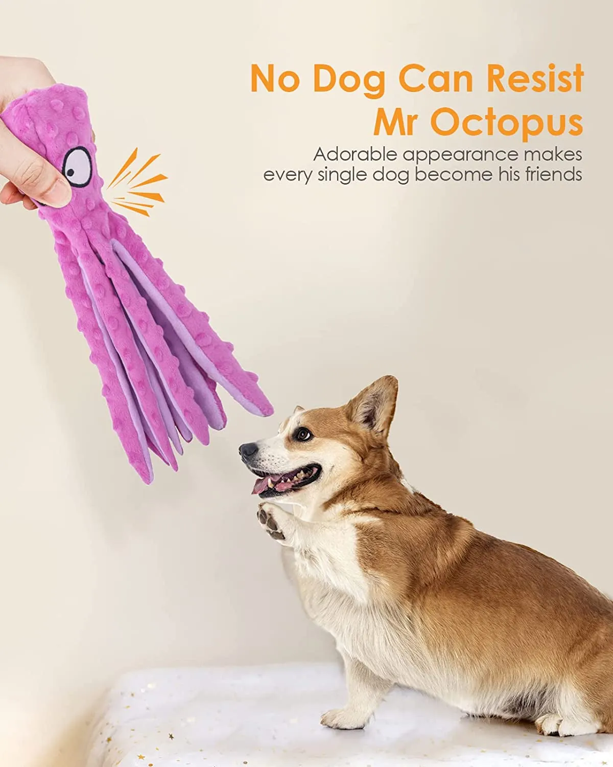 Squeaky Dog Toys