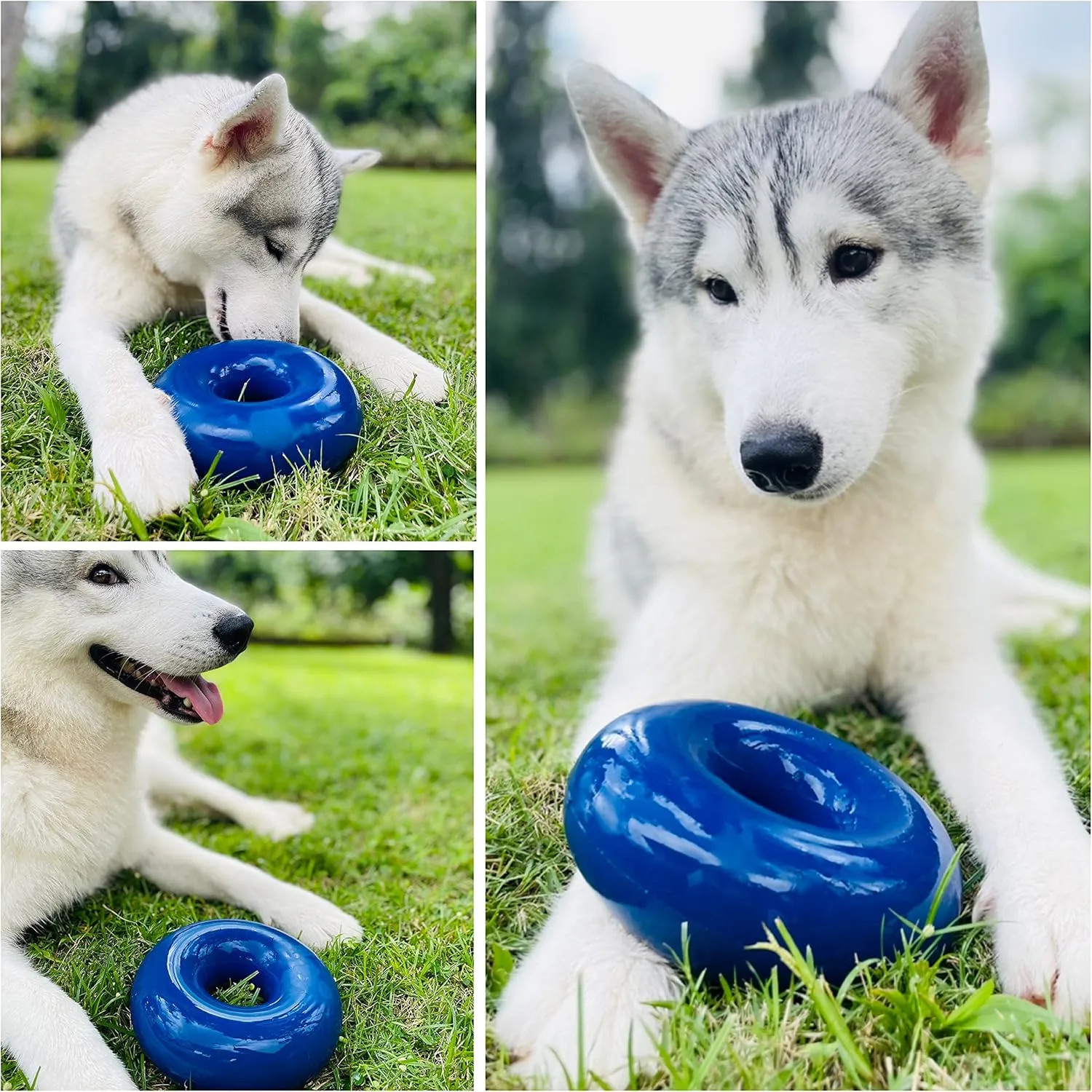 Tuff Pupper SuperChewy Tough Dog Ring Toy | Lifetime Replacement | Strong Natural Rubber | Dog Chew Toys for Aggressive Chewers | Durable Tug Toy | Ring Toys for Strong Dogs | Large Breed Tested