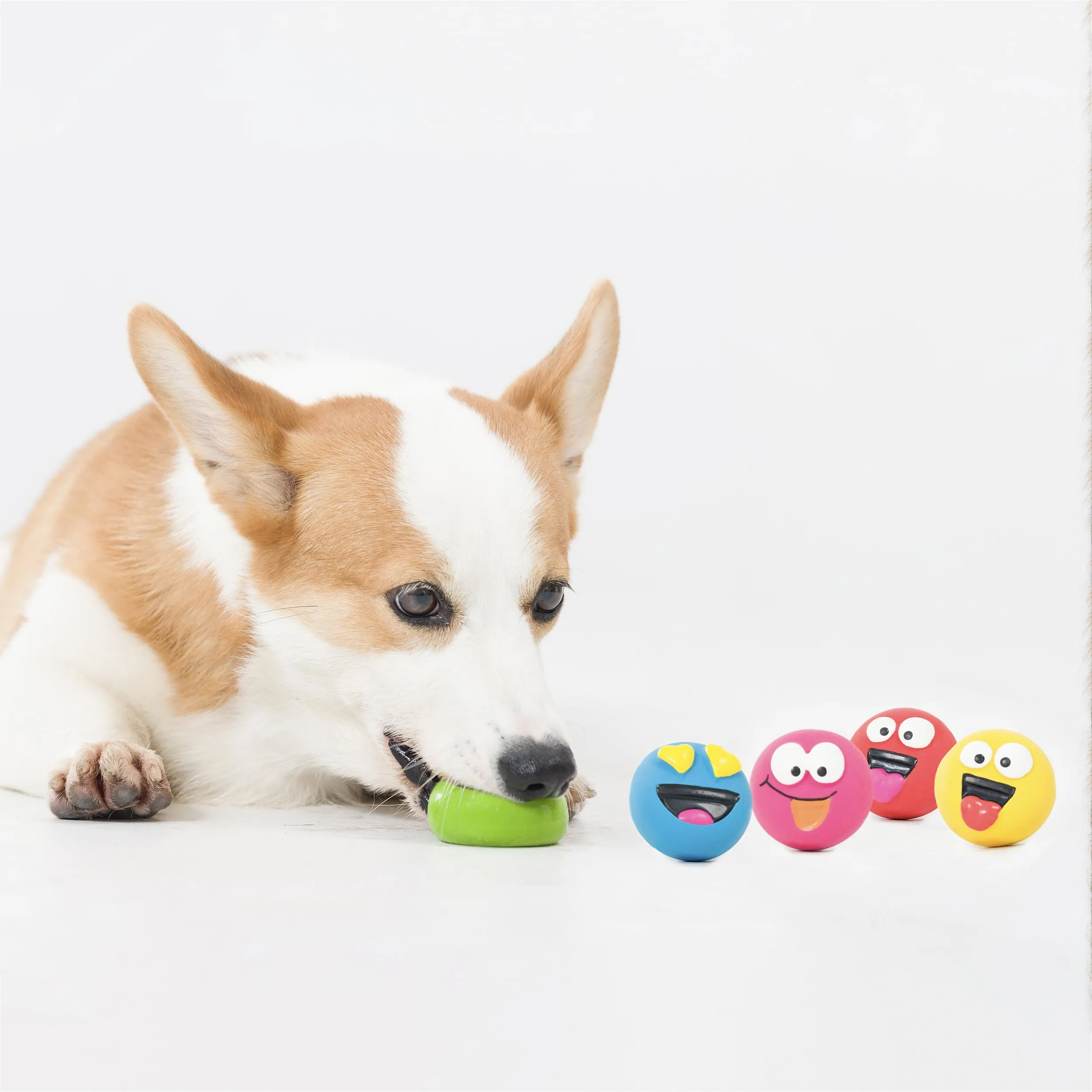 Vibrant Life Playful Buddy Dog Toys,  5 Count
