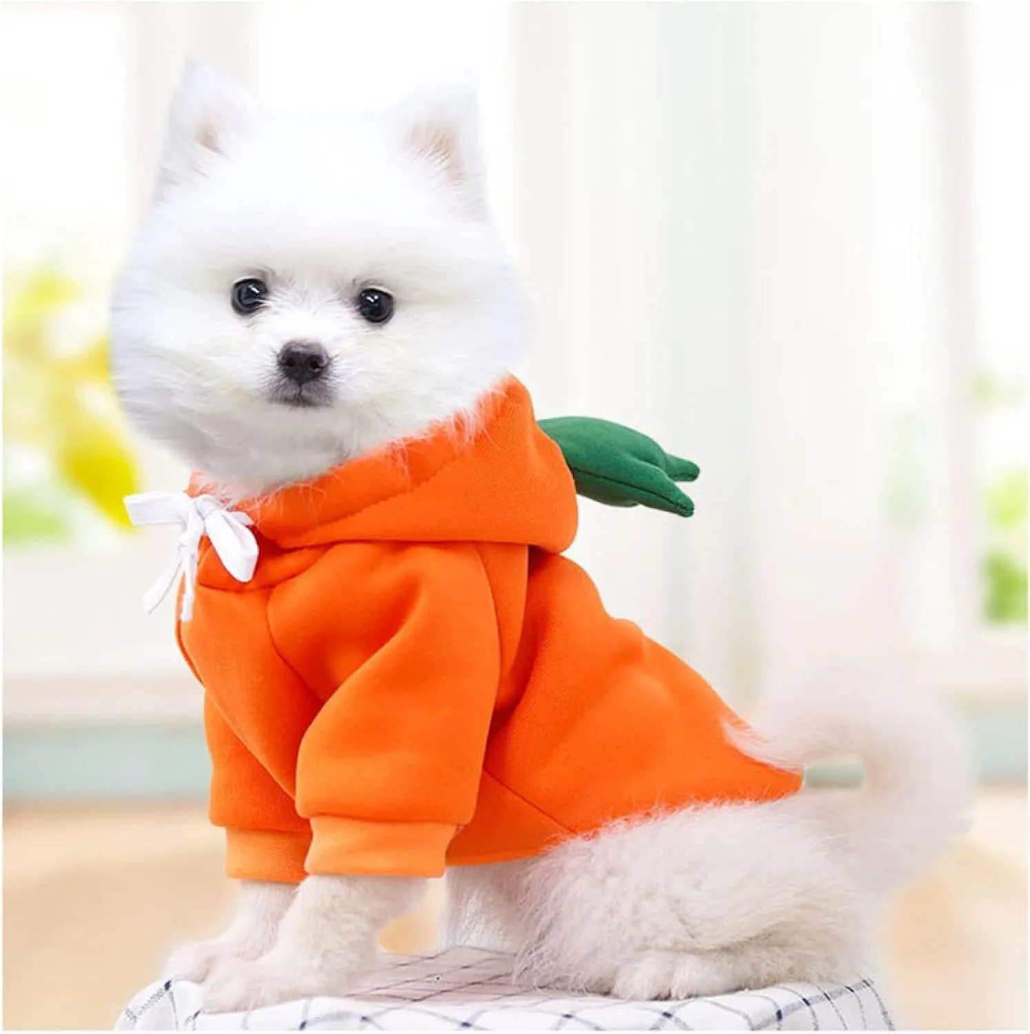Warm Dog Winter Clothes Cute Fruit Dog Coat Hoodies Fleece Pet Dogs Costume Jacket for French Bulldog Chihuahua Ropa para Perro(Orange,XXL)