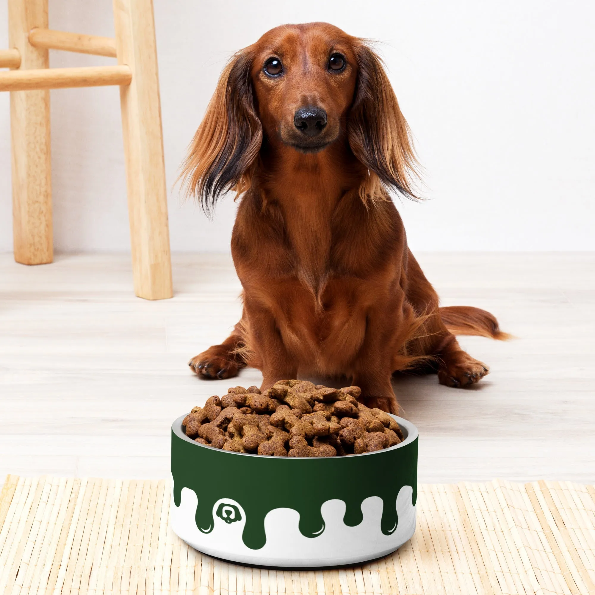 WUFORIA Pawcasso Broccoli Paint Drip 32oz Dog Bowl
